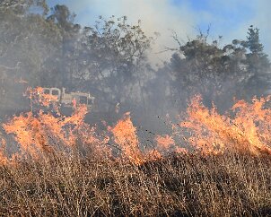 Scrub and grass fire, Lenswood from Pip McGowan, CFS Promotions Unit