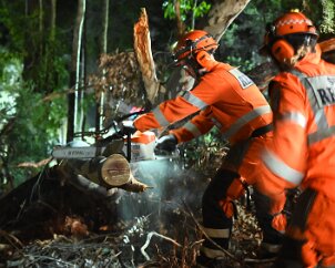 SES / CFS joint chainsaw training, Basket Range from Ashley Hosking, CFS Promotions Unit