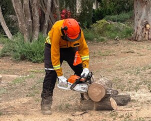 Chainsaw training, Bowhill from Bowhill CFS