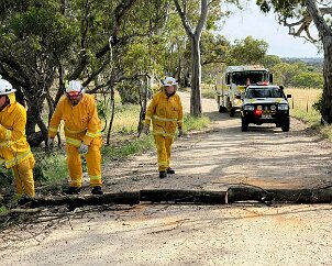Tree down, Barossa Goldfields from Concordia CFS