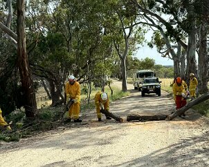 Tree down, Barossa Goldfields from Concordia CFS