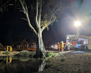 Draughting training, Roseworthy from Roseworthy CFS