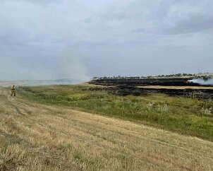 Grass fire, Bolivar from Salisbury CFS