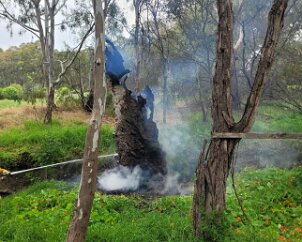 Tree fire, Salisbury Downs from Salisbury CFS
