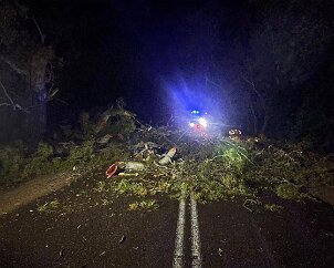 Tree down, Springton from Springton CFS