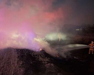 Escaped burn off, Vine Vale from Tyson Grundel