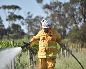 Grass fire, Tanunda from Pip McGowan, CFS Promotions Unit