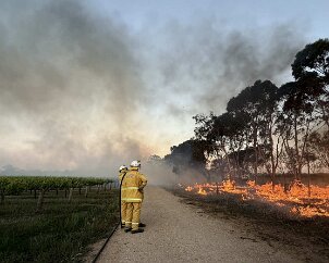 Burnoff, Langhorne Creek from Langhorne Creek CFS