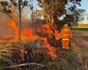 Burnoff, Langhorne Creek from Langhorne Creek CFS