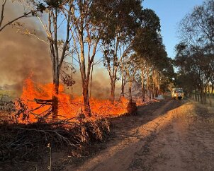 Burnoff, Langhorne Creek from Langhorne Creek CFS