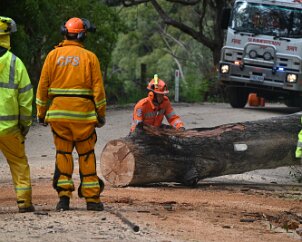 Tree down, Ashton from Ashley Hosking, CFS Promotions Unit