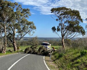 Tree down, McLaren Flat from McLaren Flat CFS