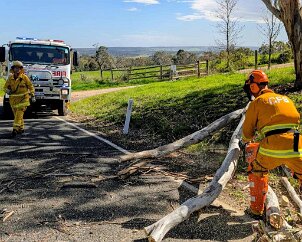Tree down, McLaren Flat from McLaren Flat CFS