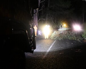 Tree down, Basket Range from Pip McGowan, CFS Promotions Unit