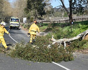 Tree down, Oakbank from Ashley Hosking, CFS Promotions Unit
