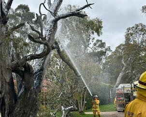 Tree fire, Wattle Flat from Yankalilla CFS