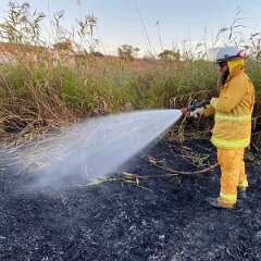 Reeds and grass fire, Wellington East from Cooke Plains CFS
