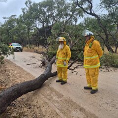 Tree down, Onkaparinga Hills from Morphett Vale CFS