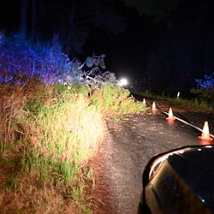 Tree down, Basket Range from Pip McGowan, CFS Promotions Unit