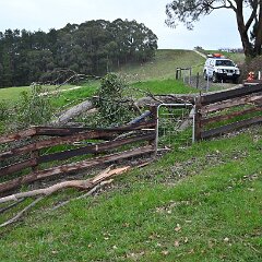 Tree down, Ashton from Ashley Hosking, CFS Promotions Unit