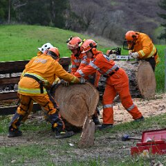 Tree down, Ashton from Ashley Hosking, CFS Promotions Unit
