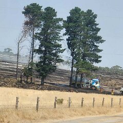 Grass and pine trash fire, Keilira from Beth Warwick