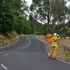 Tree down, Basket Range from Pip McGowan, CFS Promotions Unit