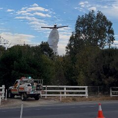 Scrub fire, Clare from Karen Eckermann