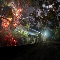 Scrub fire, Clare from Rebecca Weston