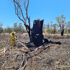 Grass fire, Blanchetown from Truro CFS