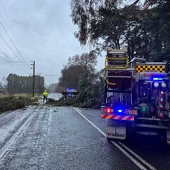 Tree down, Kersbrook from Kersbrook CFS