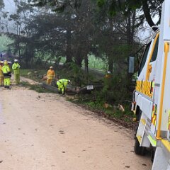 Tree down, Lenswood from Ashley Hosking, CFS Promotions Unit