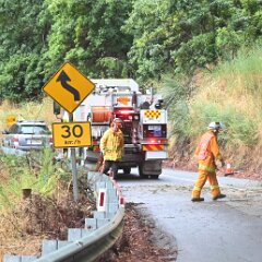 Tree down, Basket Range from Ashley Hosking, CFS Promotions Unit