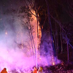 Scrub fire, Basket Range from Pip McGowan, CFS Promotions Unit