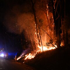 Scrub fire, Basket Range from Pip McGowan, CFS Promotions Unit