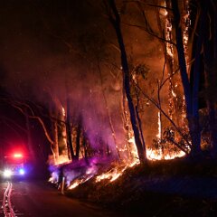 Scrub fire, Basket Range from Pip McGowan, CFS Promotions Unit