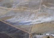 Grass fire, Cockaleechie