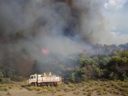 Scrub fire, Kangaroo Island