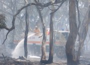 Scrub fire, Edenhope (Victoria)