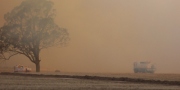 Scrub fire, Edenhope (Victoria)