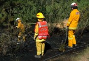 Scrub fire, Basket Range