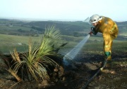 Scrub fire, Nangkita