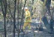 Scrub fire, Nangkita