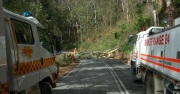 Tree down, Basket Range