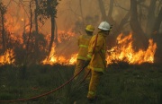 Scrub fire, Morialta