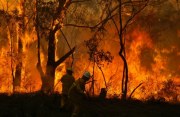 Scrub fire, Morialta