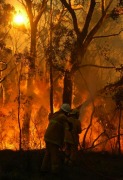 Scrub fire, Morialta