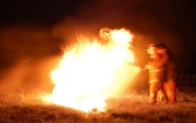 Extinguisher Training, Piccadilly