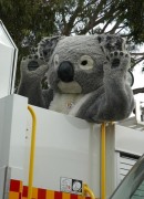 CFS at the Royal Adelaide Show
