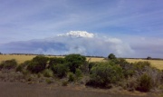 Scrub fire, Kangaroo Island